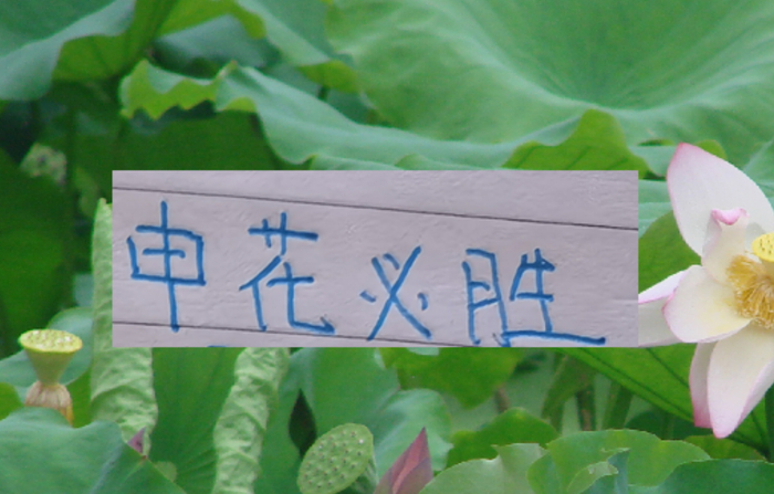 kaiyun sports-现阶段的申花要拿冠军！最大的依仗还是锋线进球能力|上海申花|上海海港|鲁迪·盖伊|上海申花足球俱乐部|大连英博_新浪体育_新浪新闻